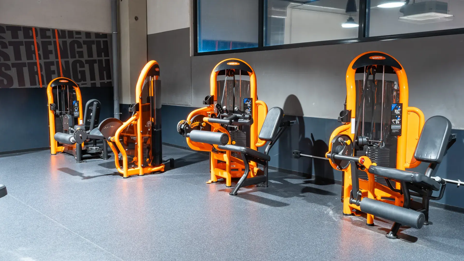 Galería de imágenes