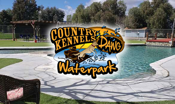 Country Kennels and Dawg Waterpark