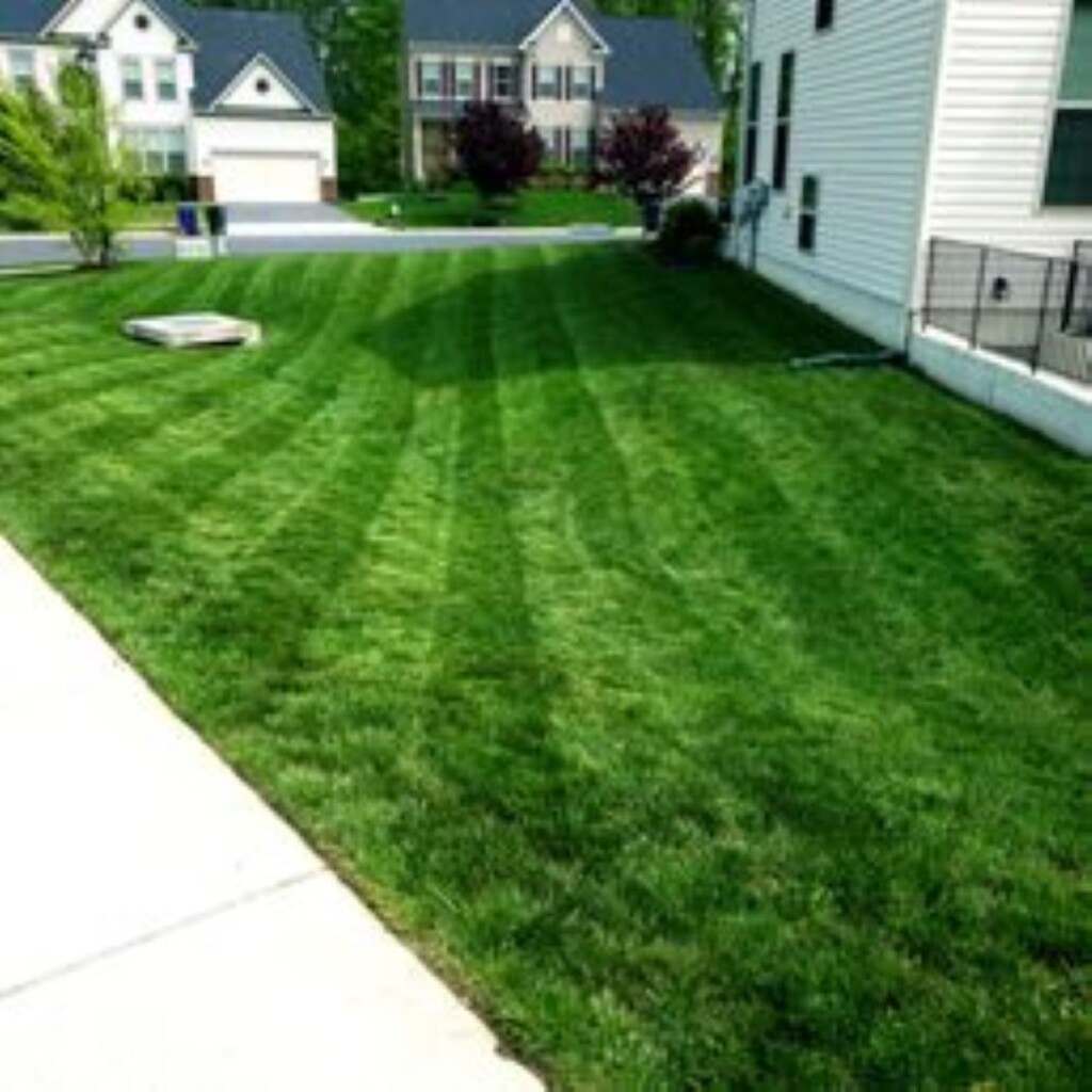 Landscaping Quality Services Photo