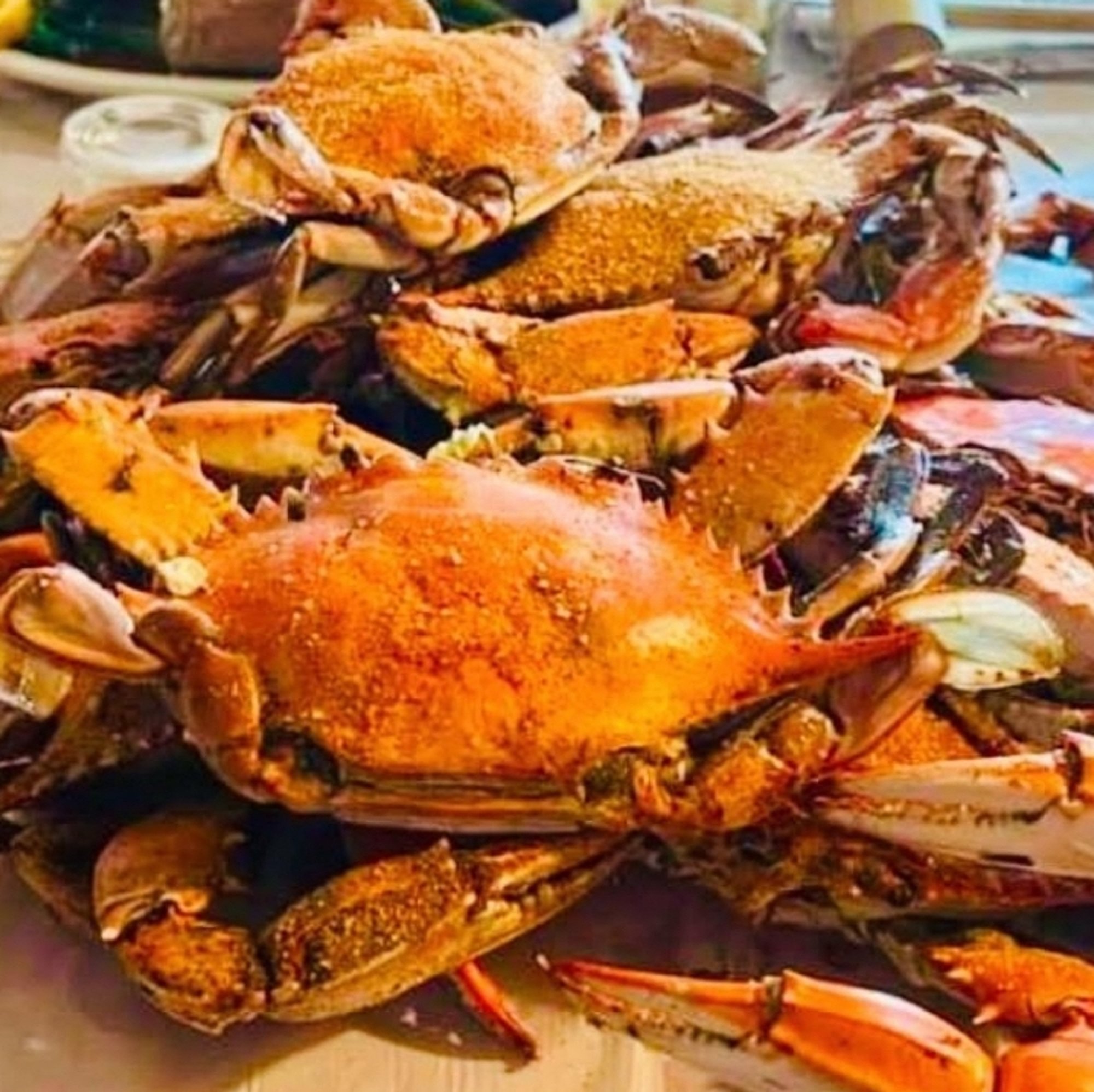 Fresh Blue Crabs #2 (Medium) Males Half Dozen