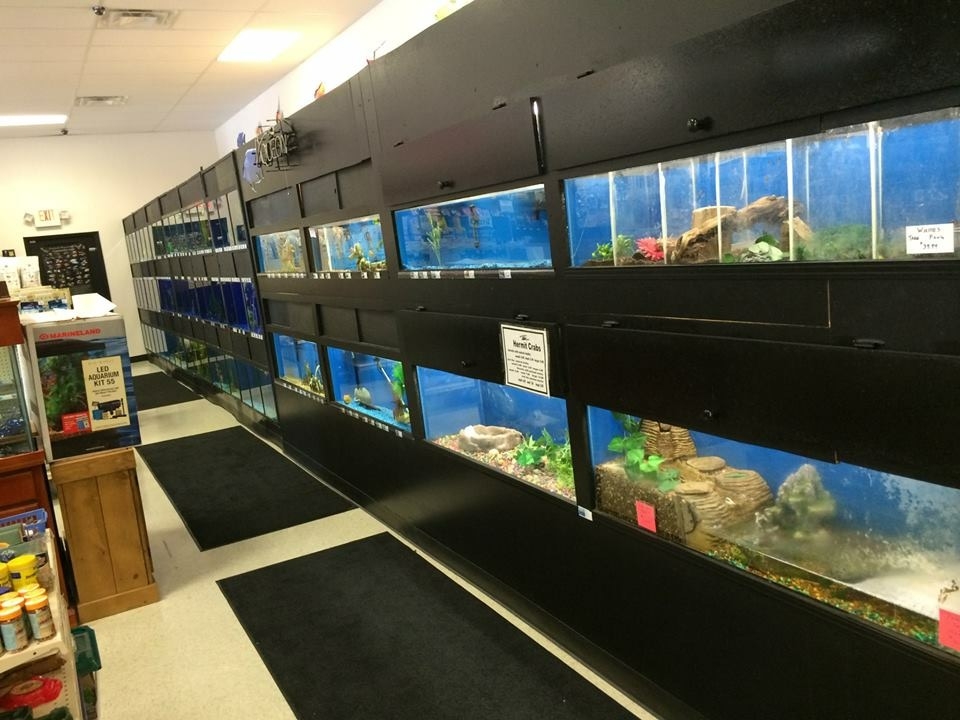 pet supplies newport ky dog kennels pet food pet supplies newport ky dog kennels pet food