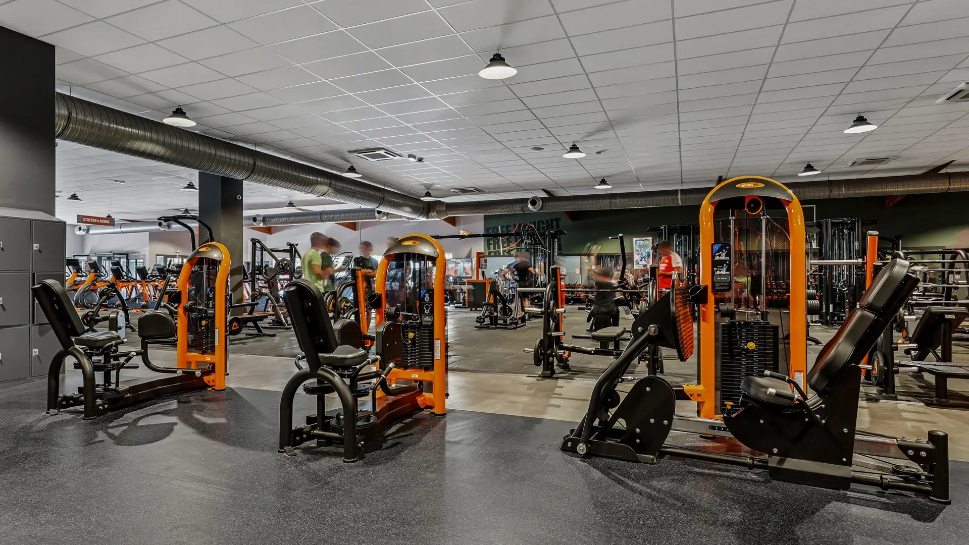 Miniature de la galerie