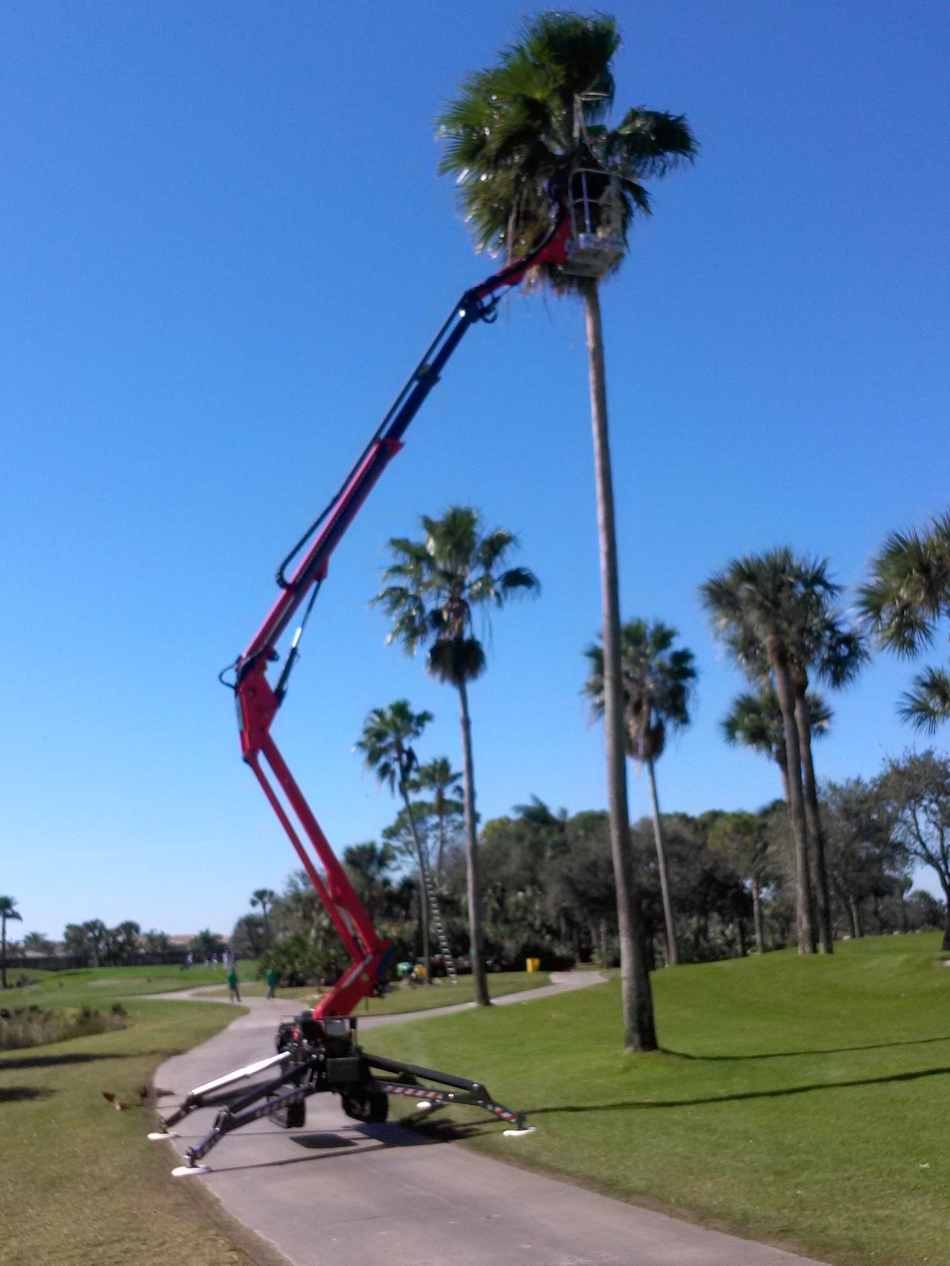 Timber Tree Co Image