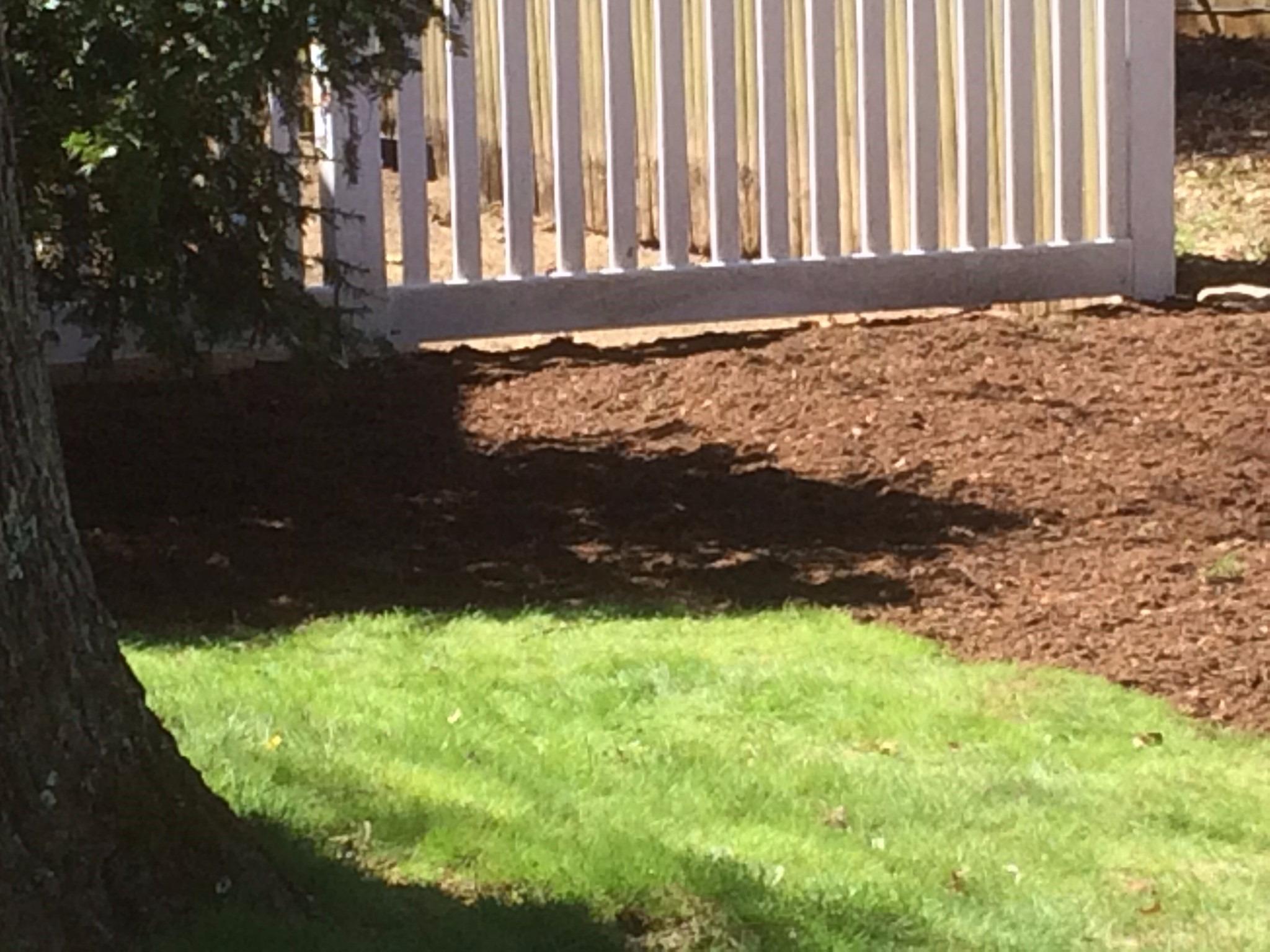 Mike's Landscaping Image
