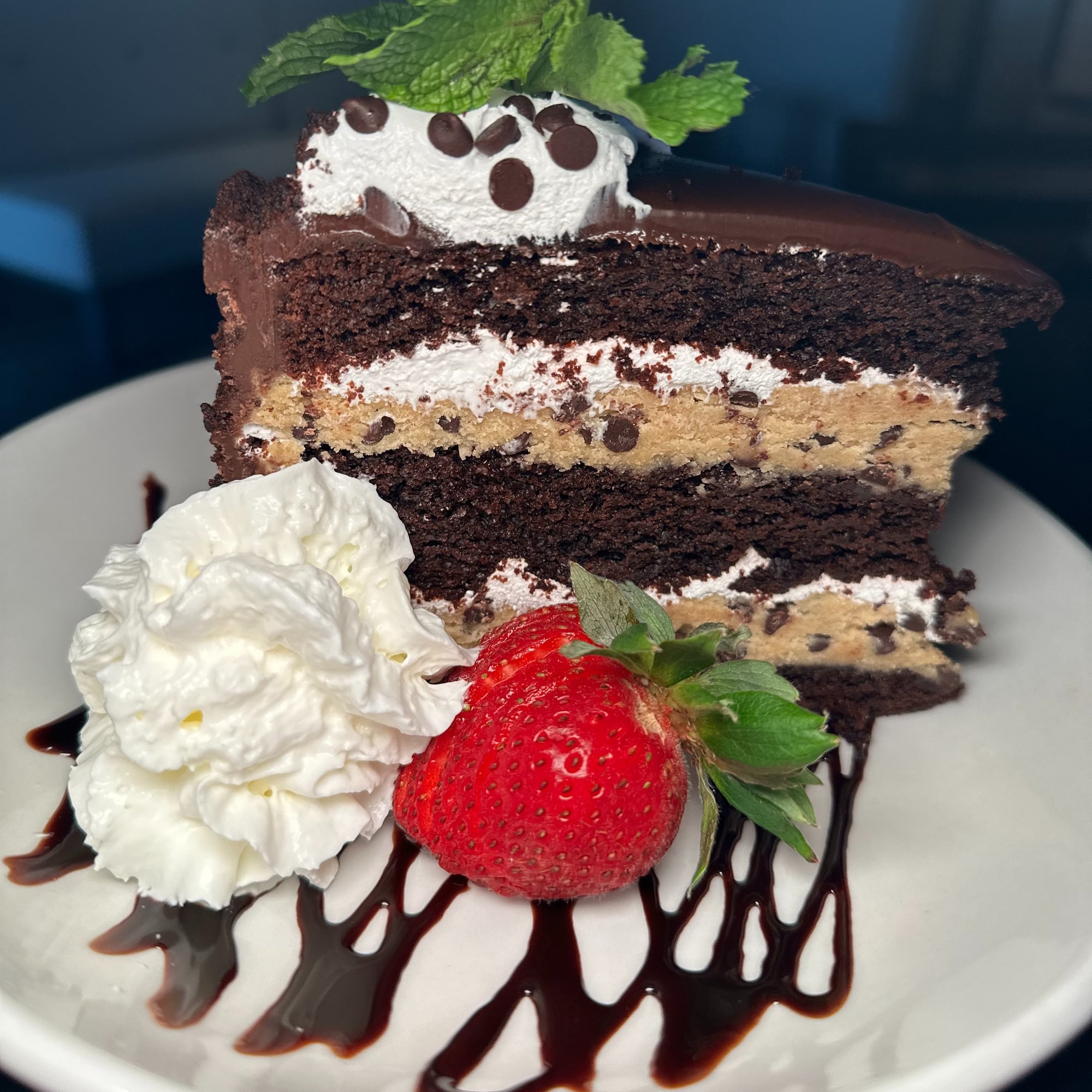 Marshmallow Chocolate Chip Cake