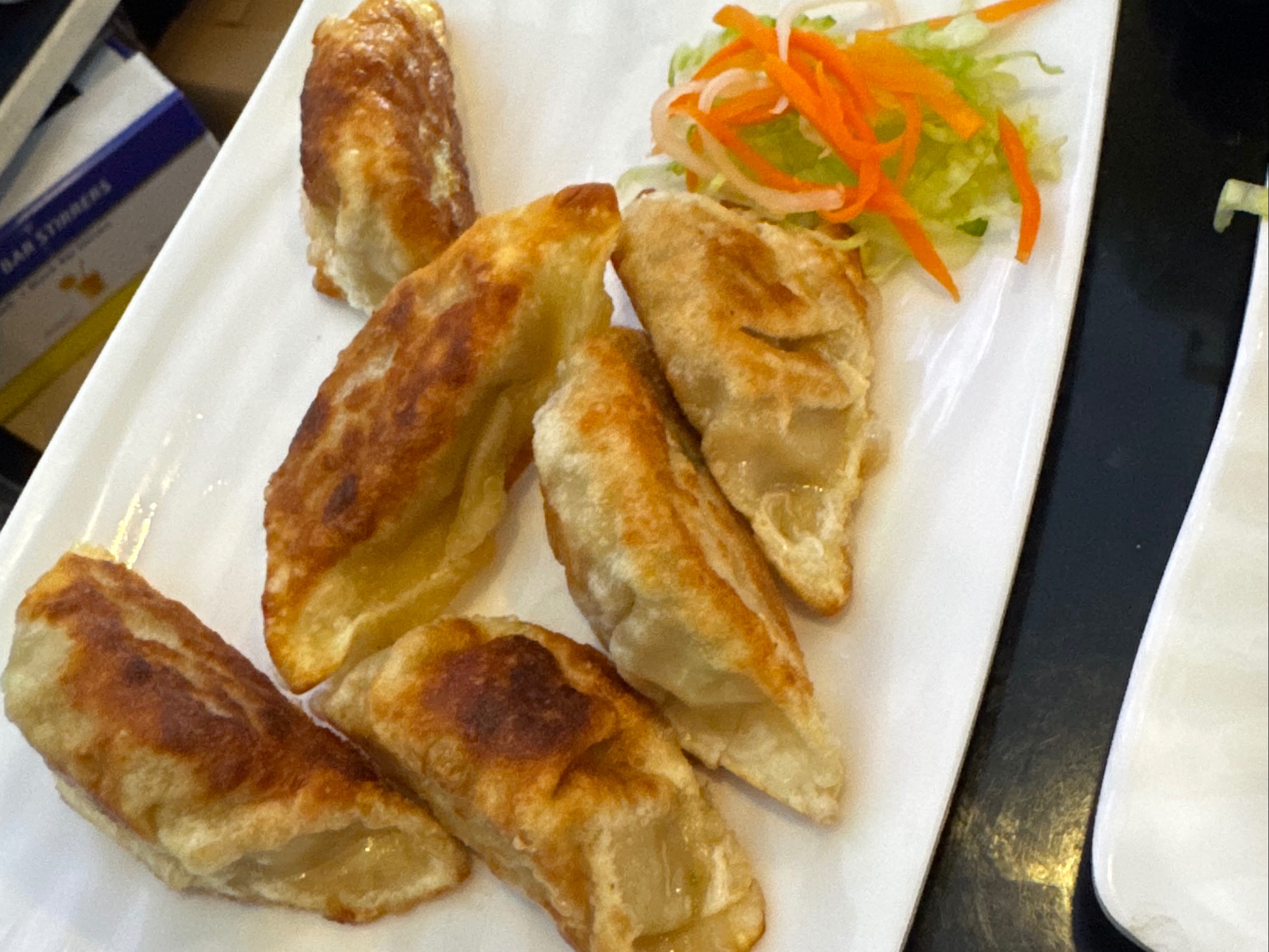 E13. Chicken Dumplings (7)