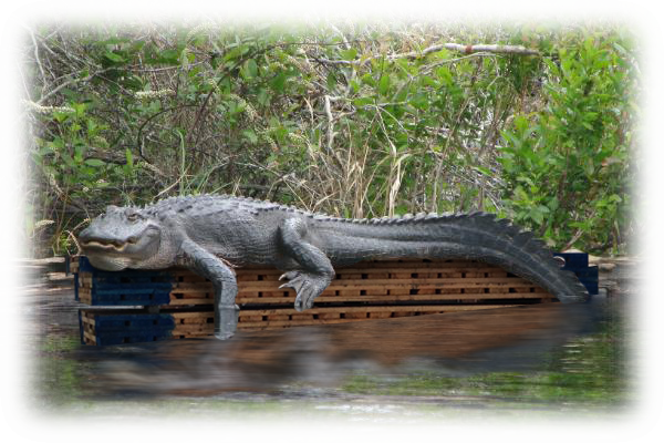 Cajun Mat, LLC Photo