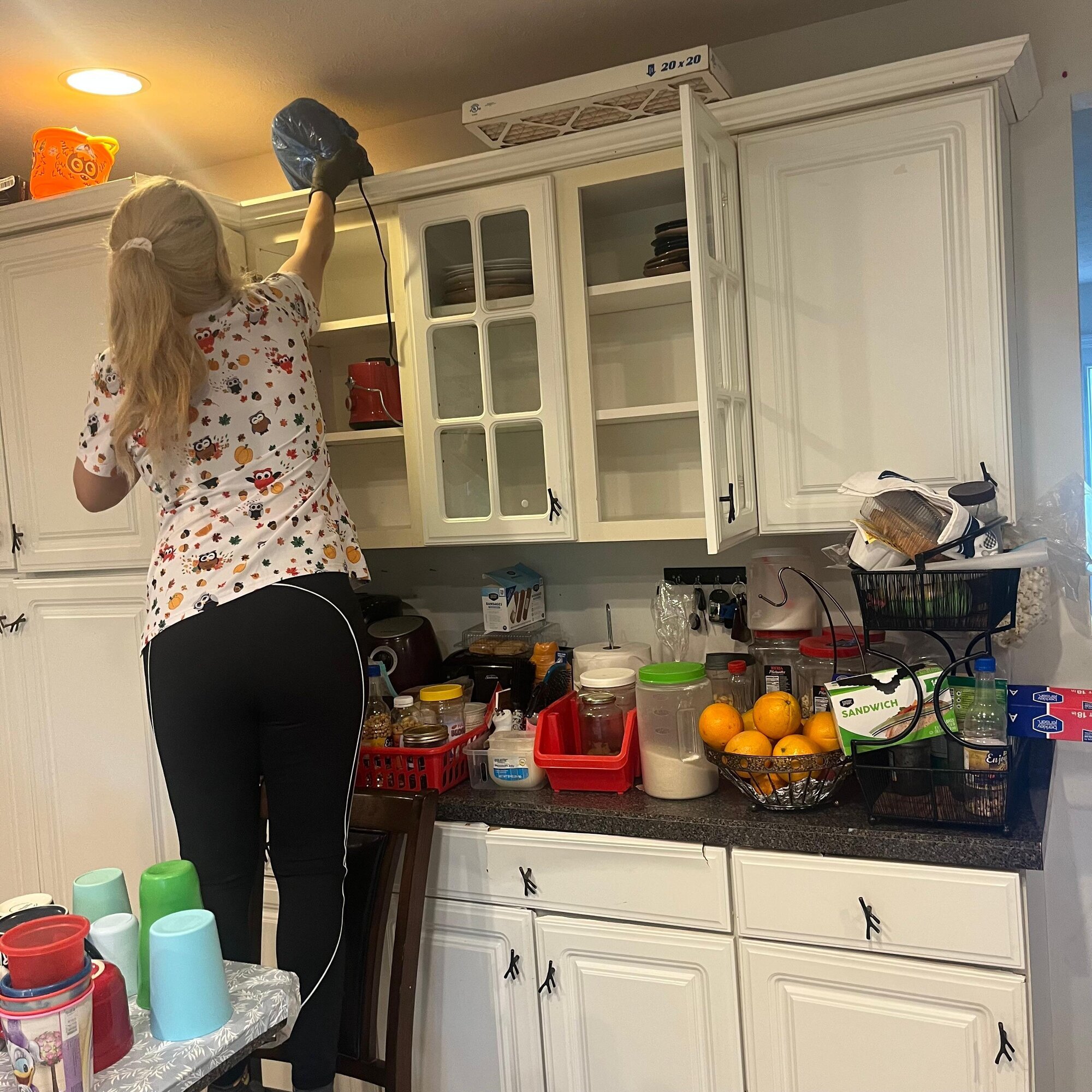 Power of Love Cleaning Services Image