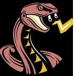 Copperhead Electrical Services LLC