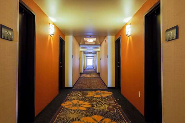 Images Hilton Garden Inn Indiana at IUP