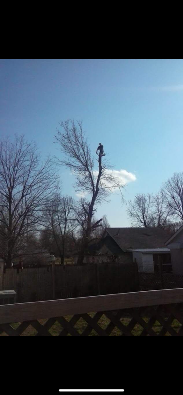 Triple G's Tree Service & Land Clearing Image