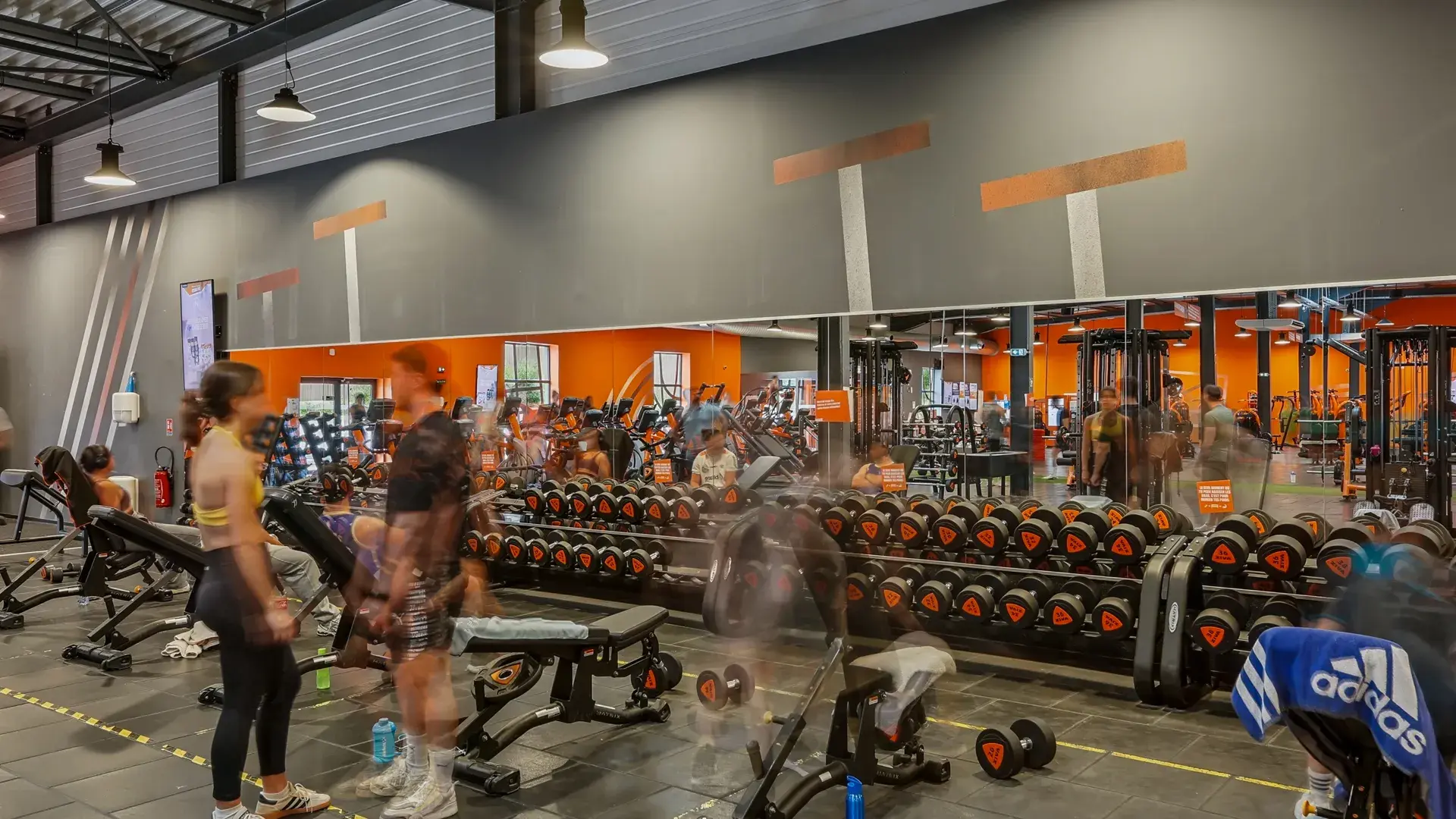 Miniature de la galerie