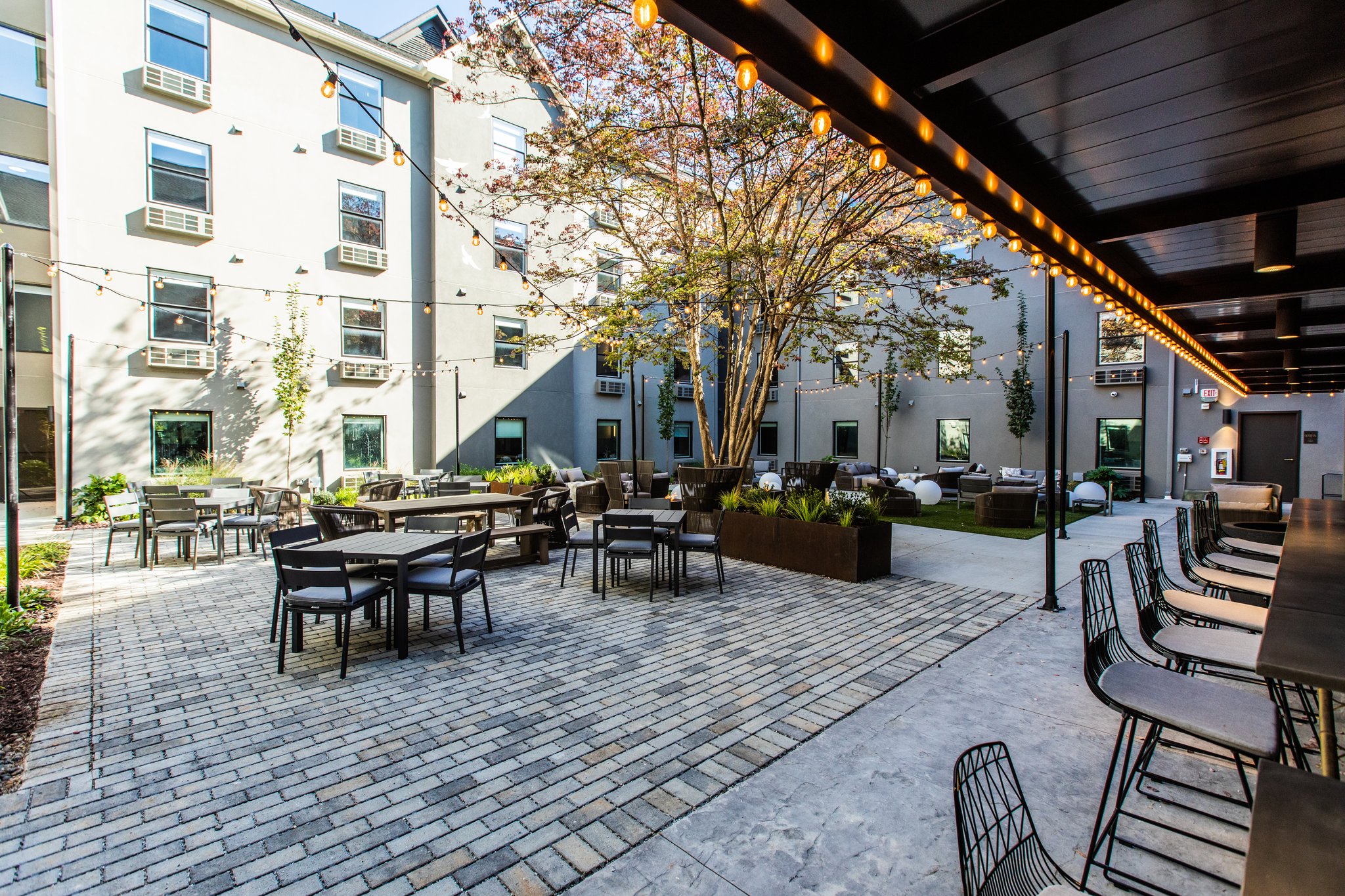 voco the Darwin - Atlanta Midtown by IHG Image