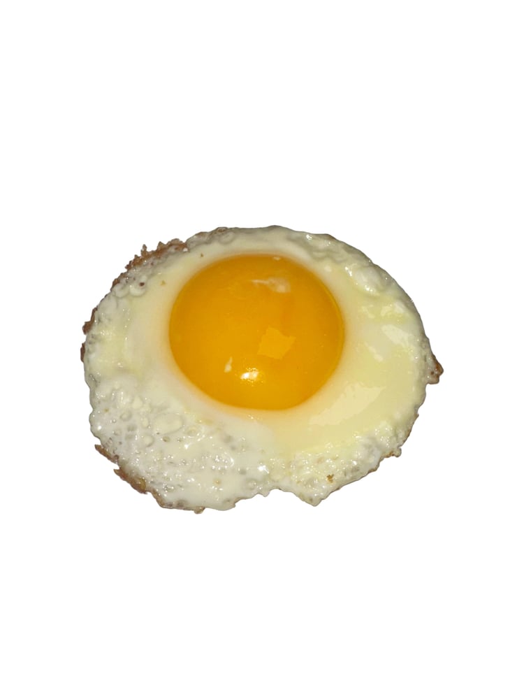 EGG