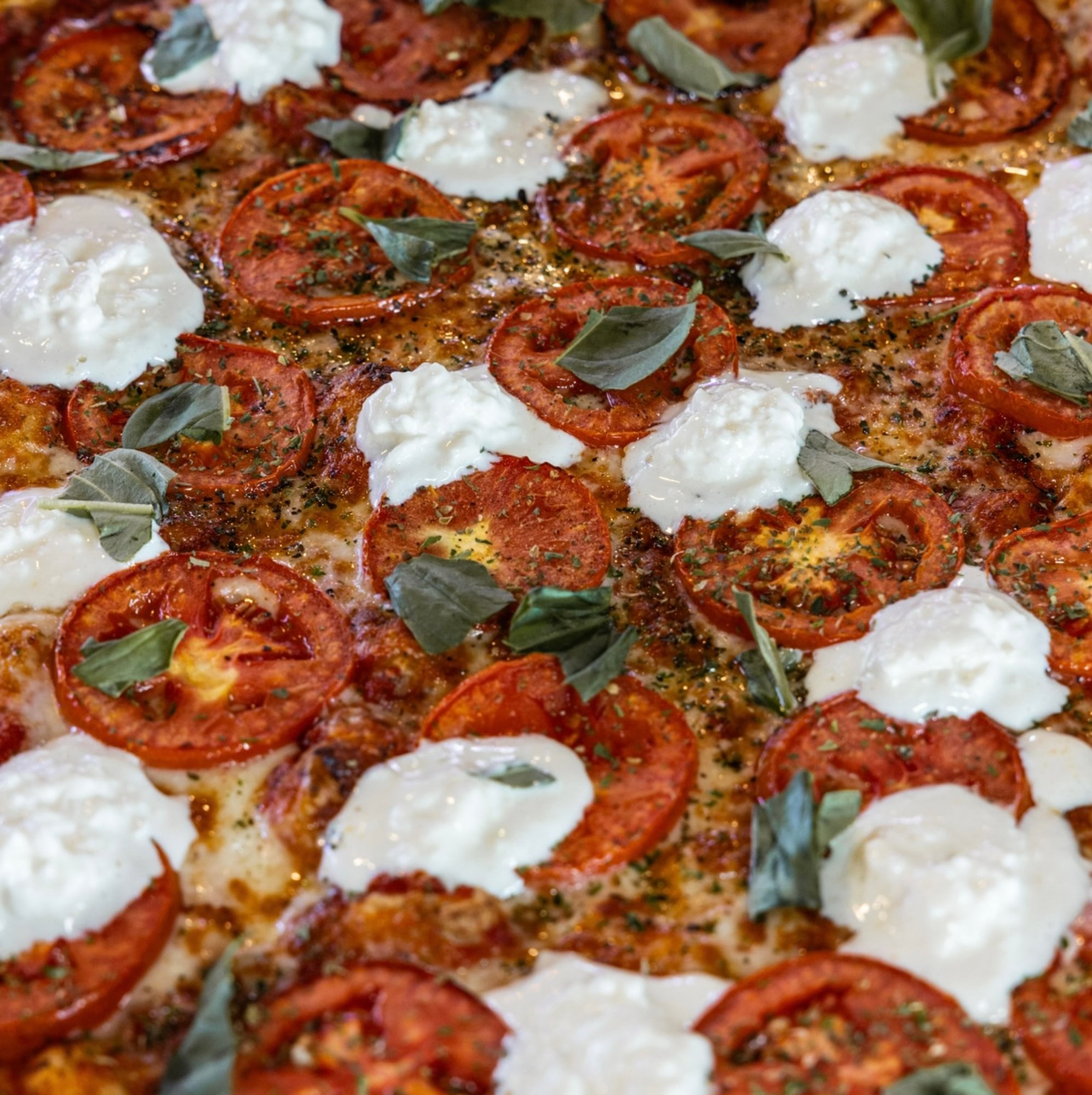 Margherita Pizza 10"