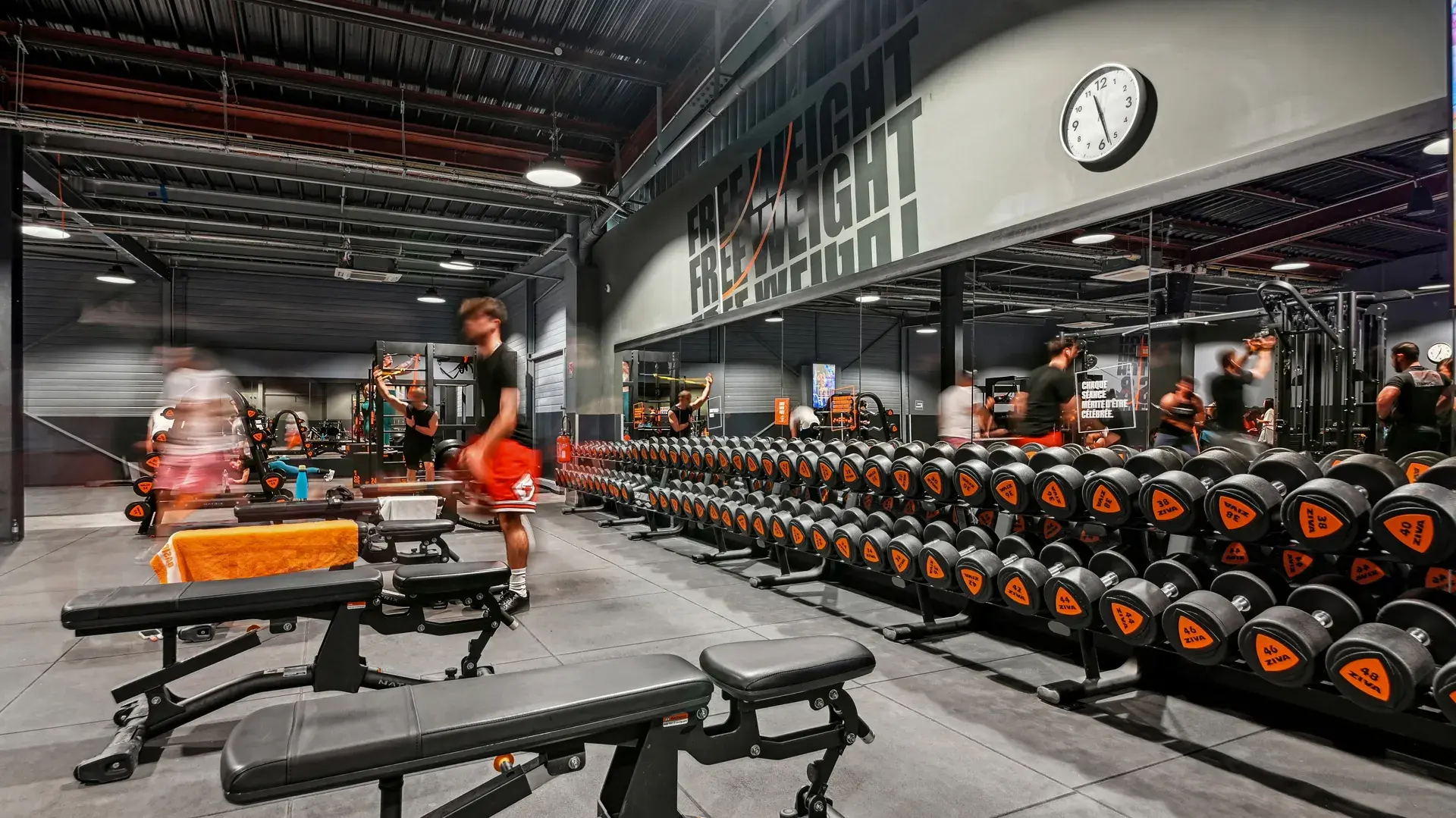 Miniature de la galerie