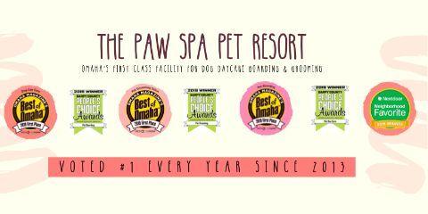 The Paw Spa Pet Resort Photo