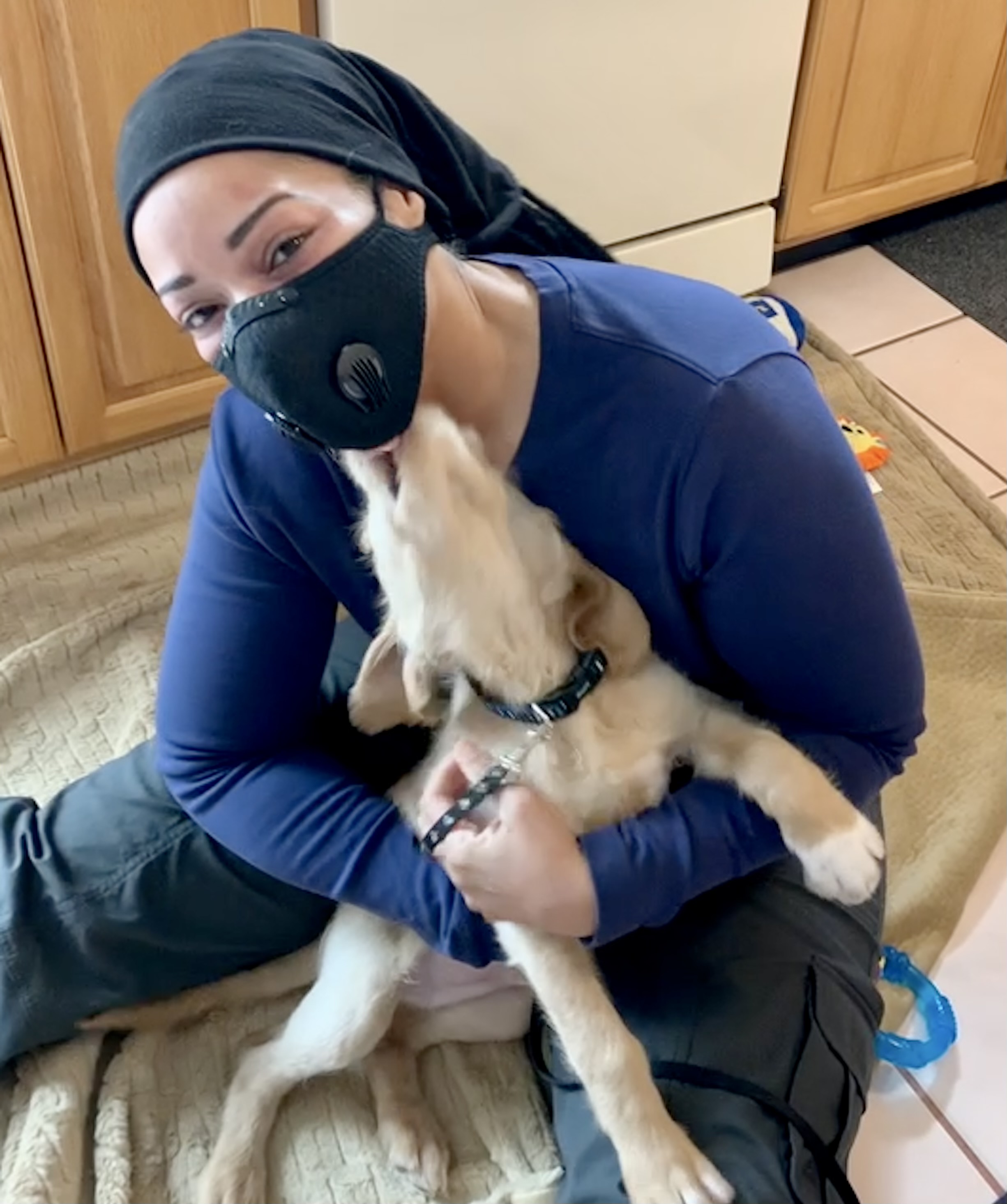 Underdog K-9 Academy LLC Image