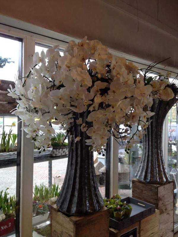 karwei wijk bij duurstede openingstijden ton s bloemenshop openingstijden ton s bloemenshop karwei wijk bij duurstede openingstijden ton s bloemenshop openingstijden ton s bloemenshop