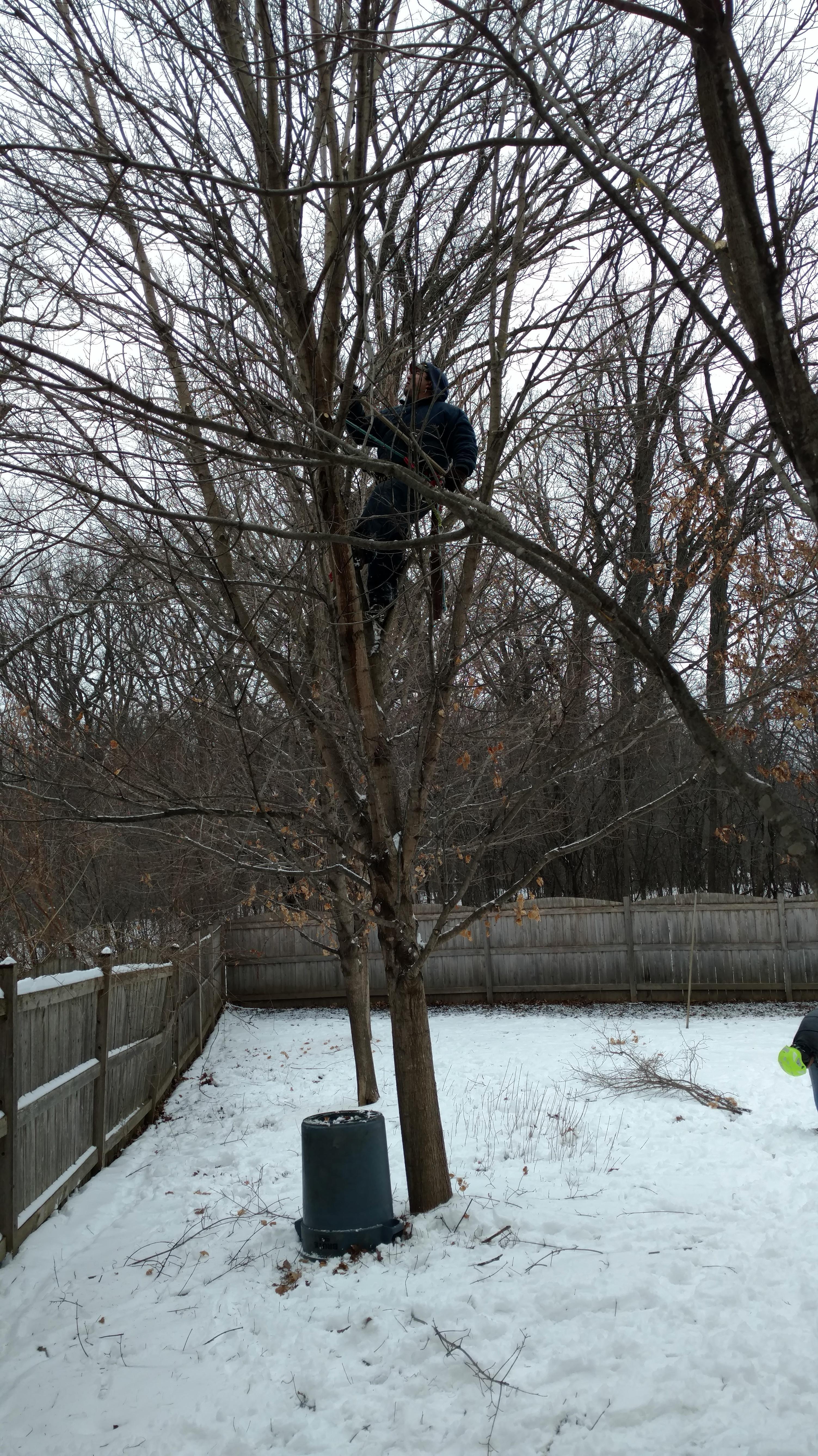 New Beginning Tree Service Company Image