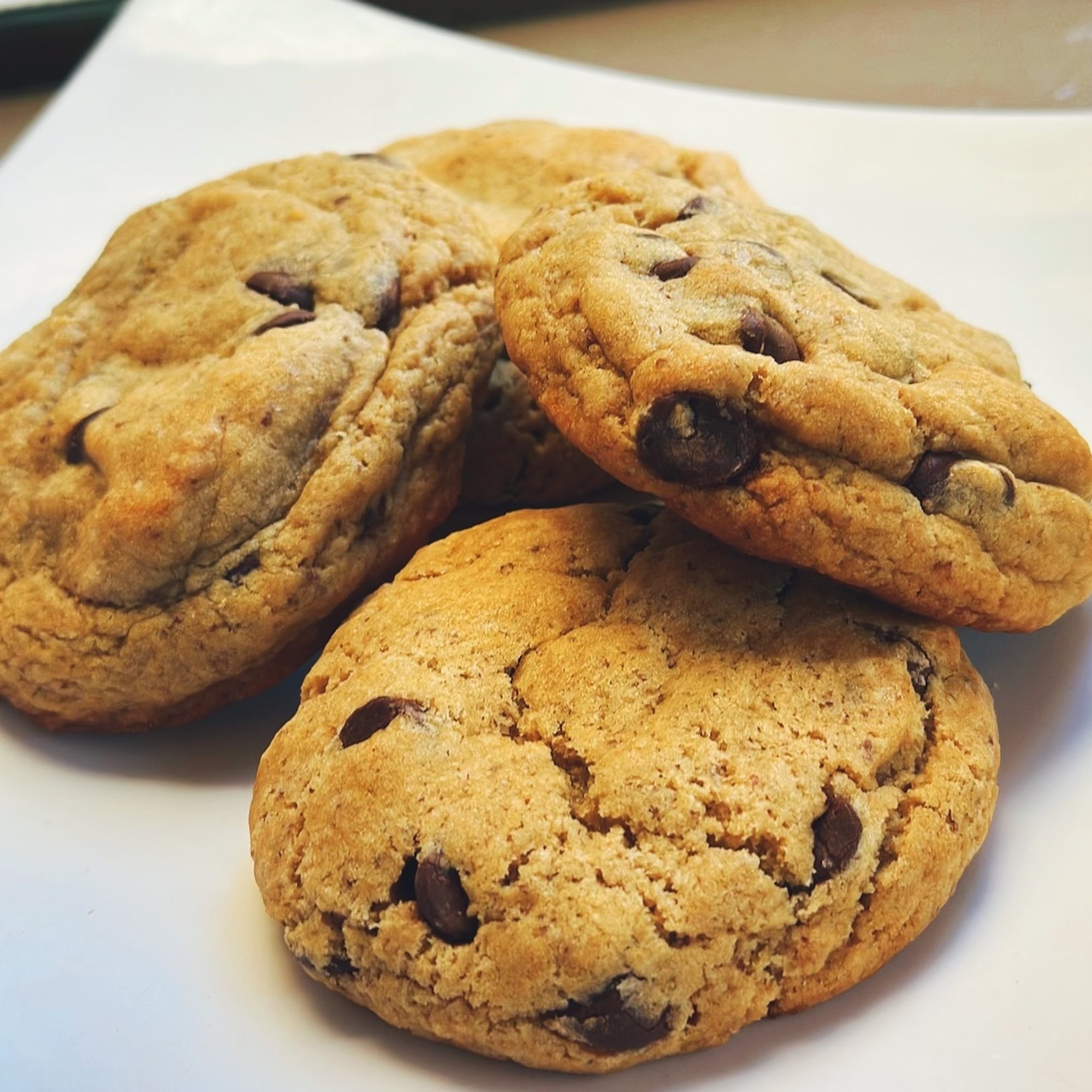 Chocolate Chip Cookie