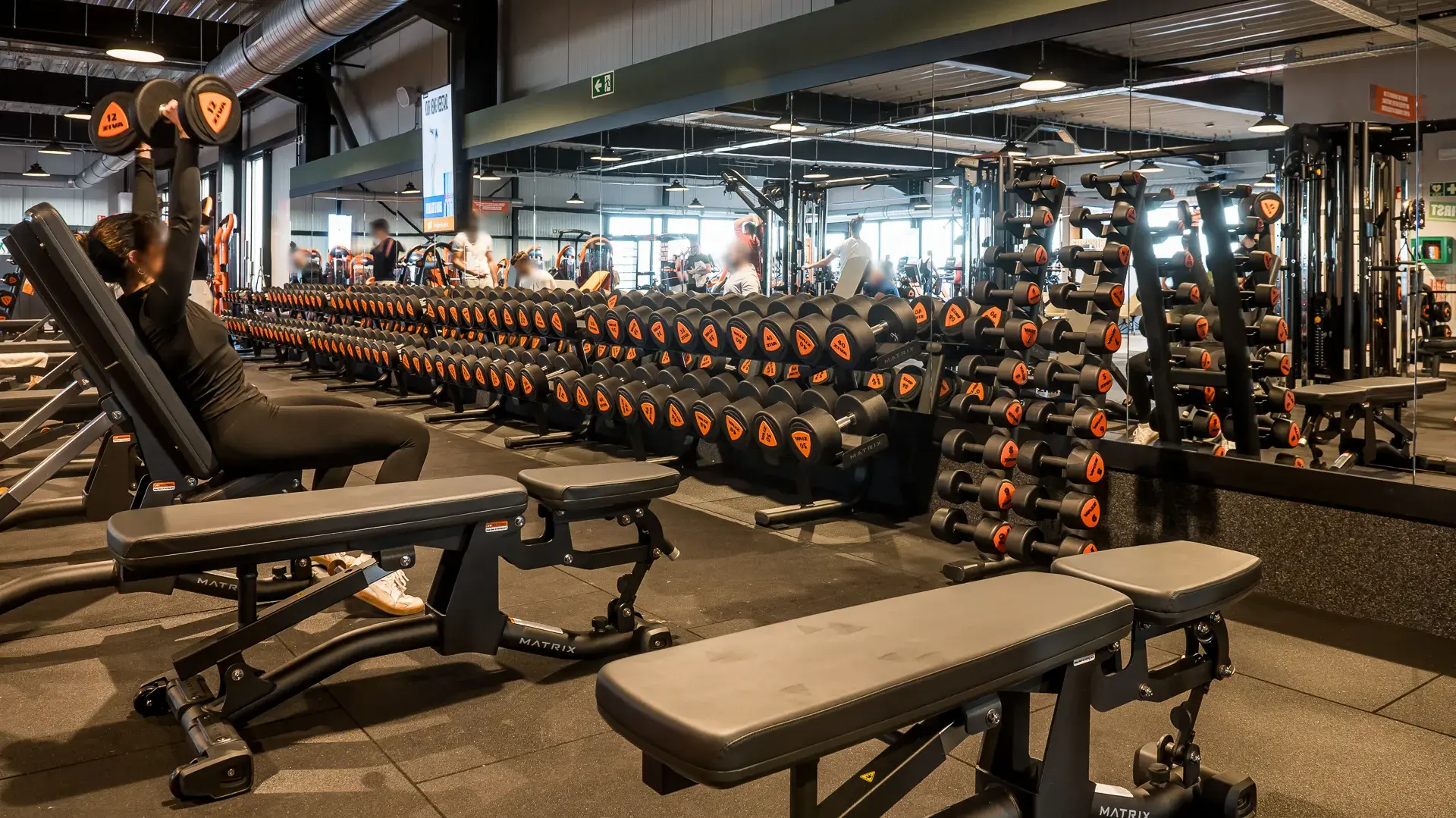 Miniature de la galerie