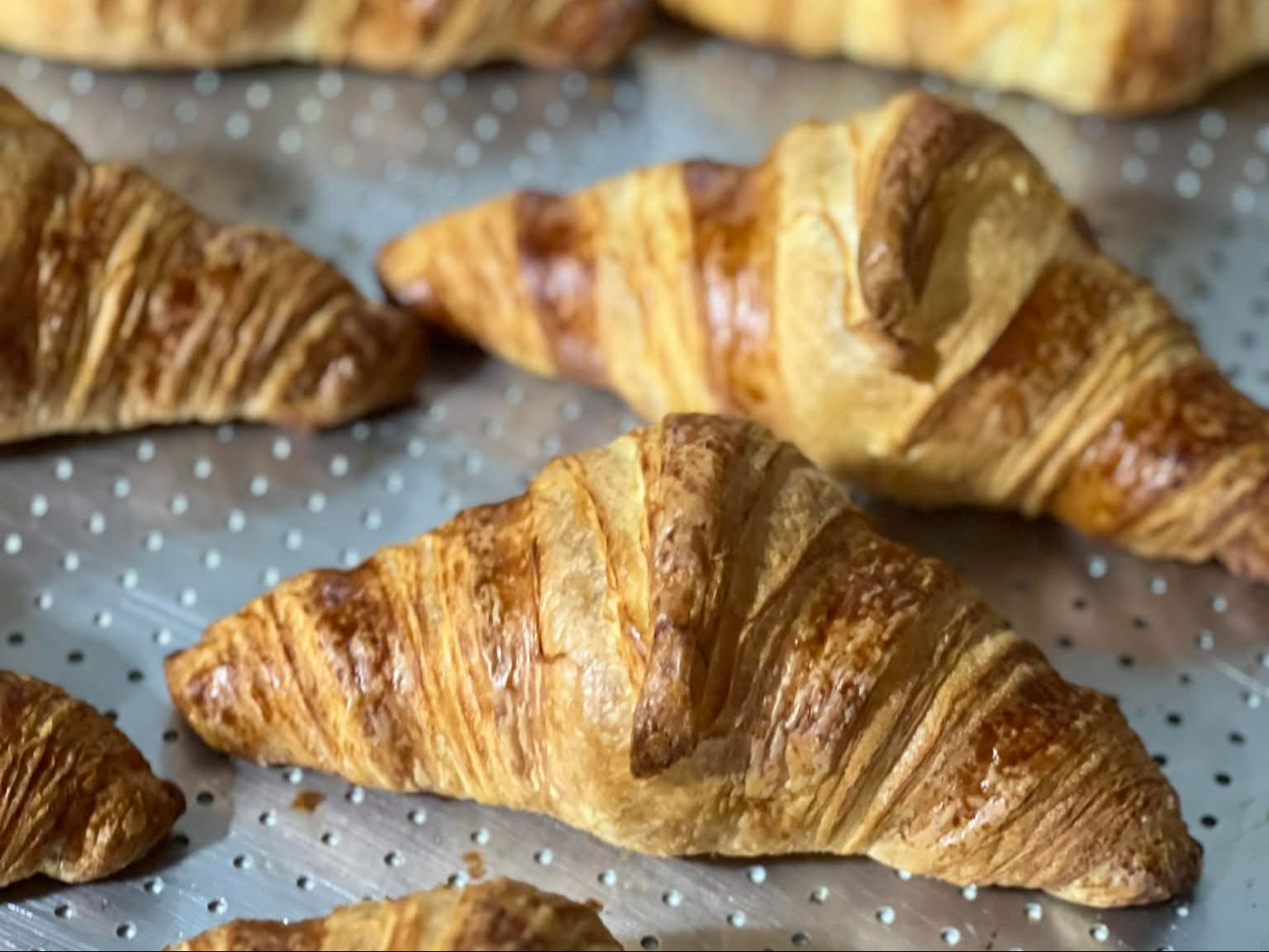 Freshly Made Butter Croissant