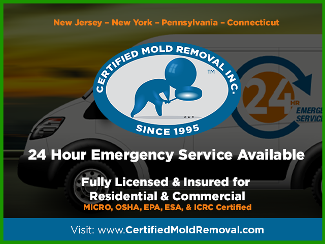 24 Hour Certified Mold Testing, Inspection, Removal, Remediation Service Company in New Jersey, Pennsylvania, Connecticut & New York
