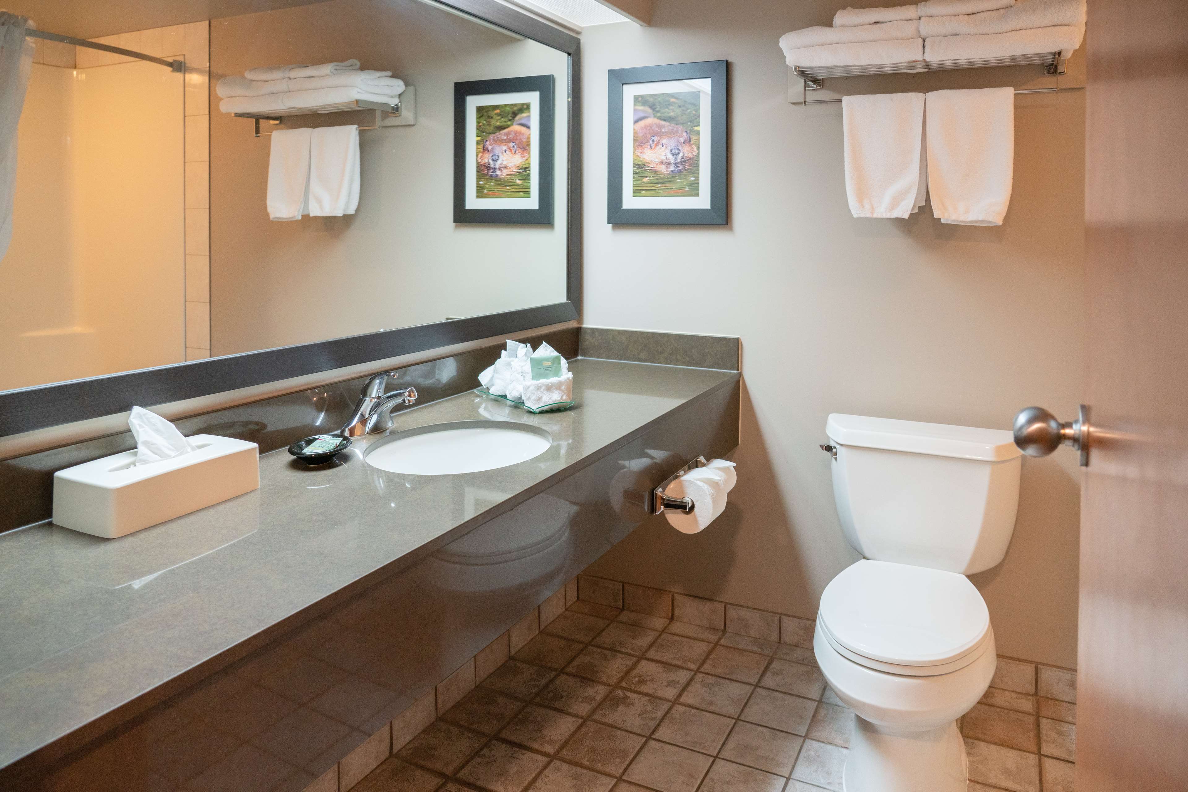 Images Best Western Pocaterra Inn