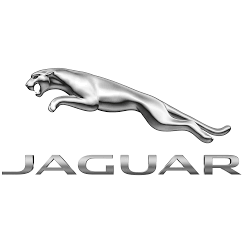 Jaguar Fort Lauderdale Photo