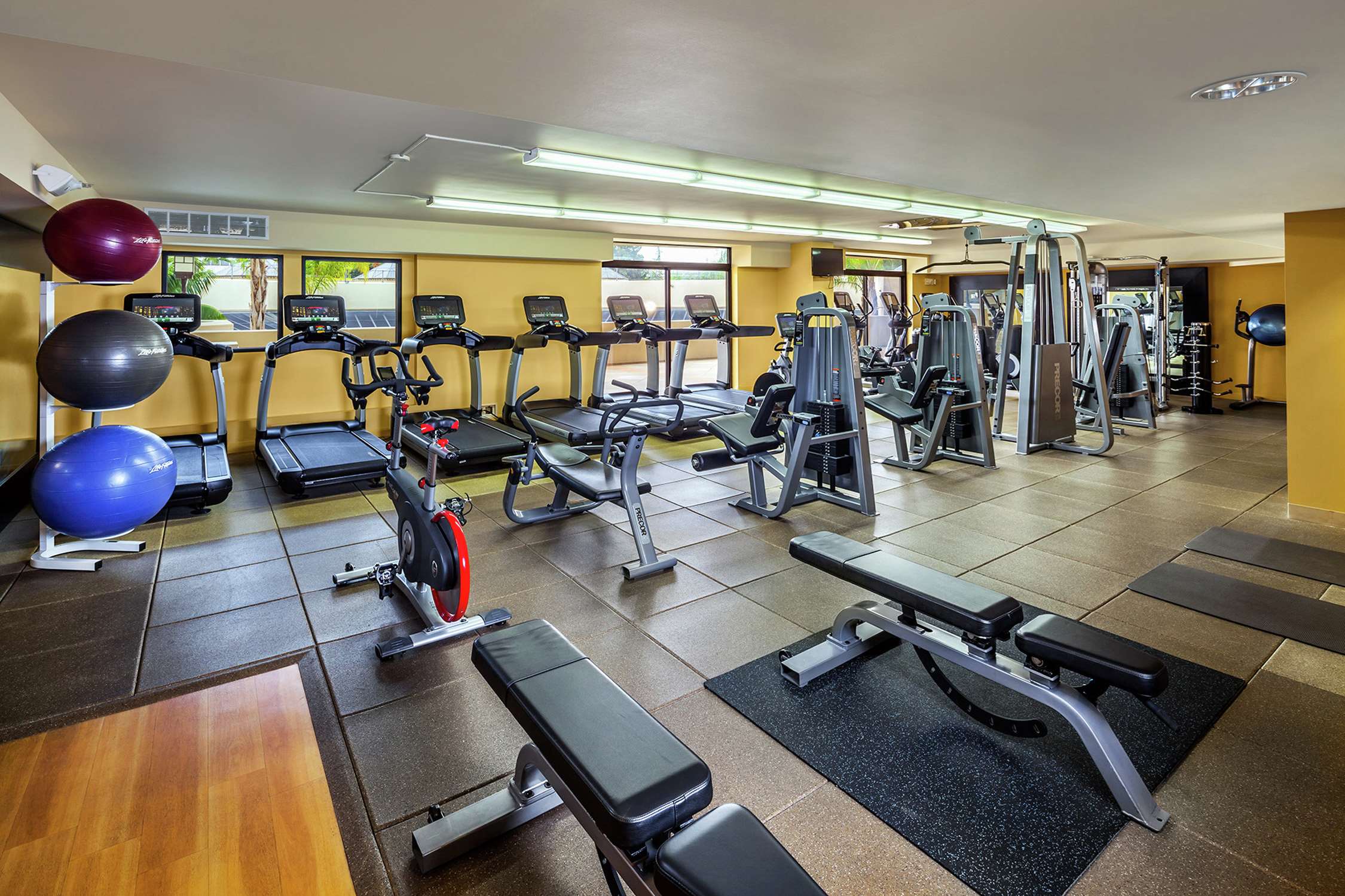 Health club  fitness center  gym