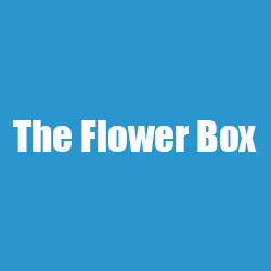 The Flower Box Photo