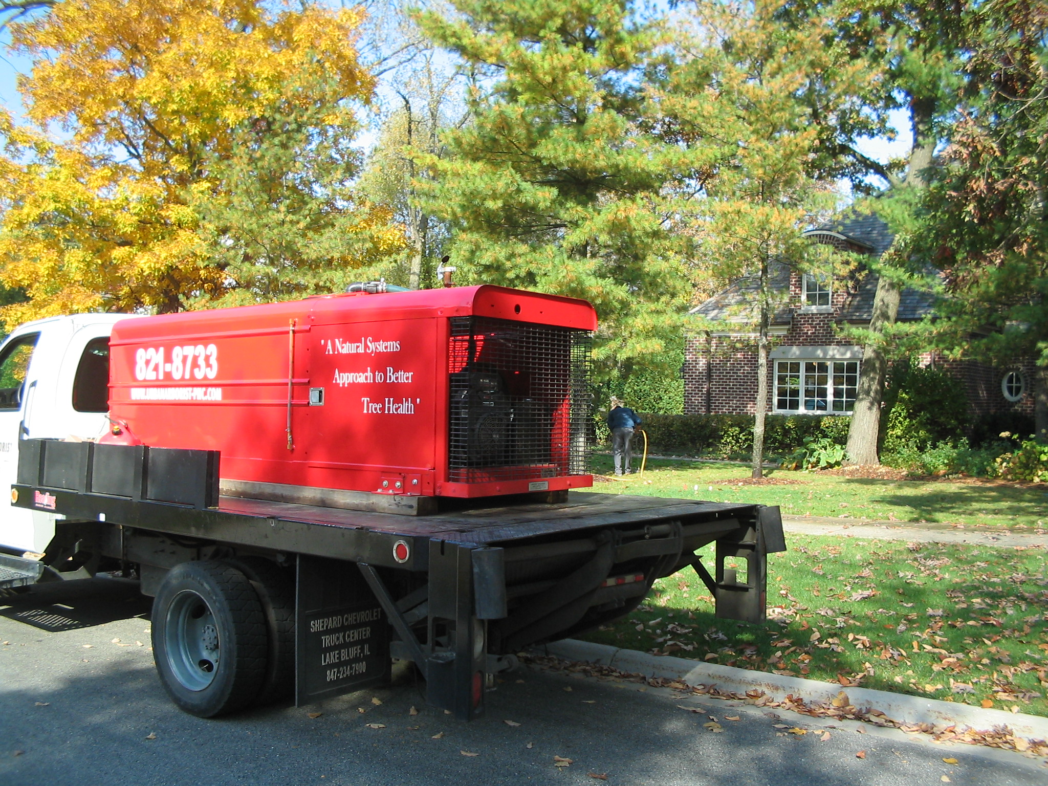 Urban Arborist Photo