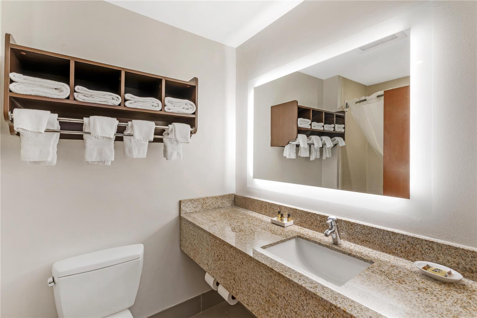 Best Western Plus McDonough Inn & Suites Image