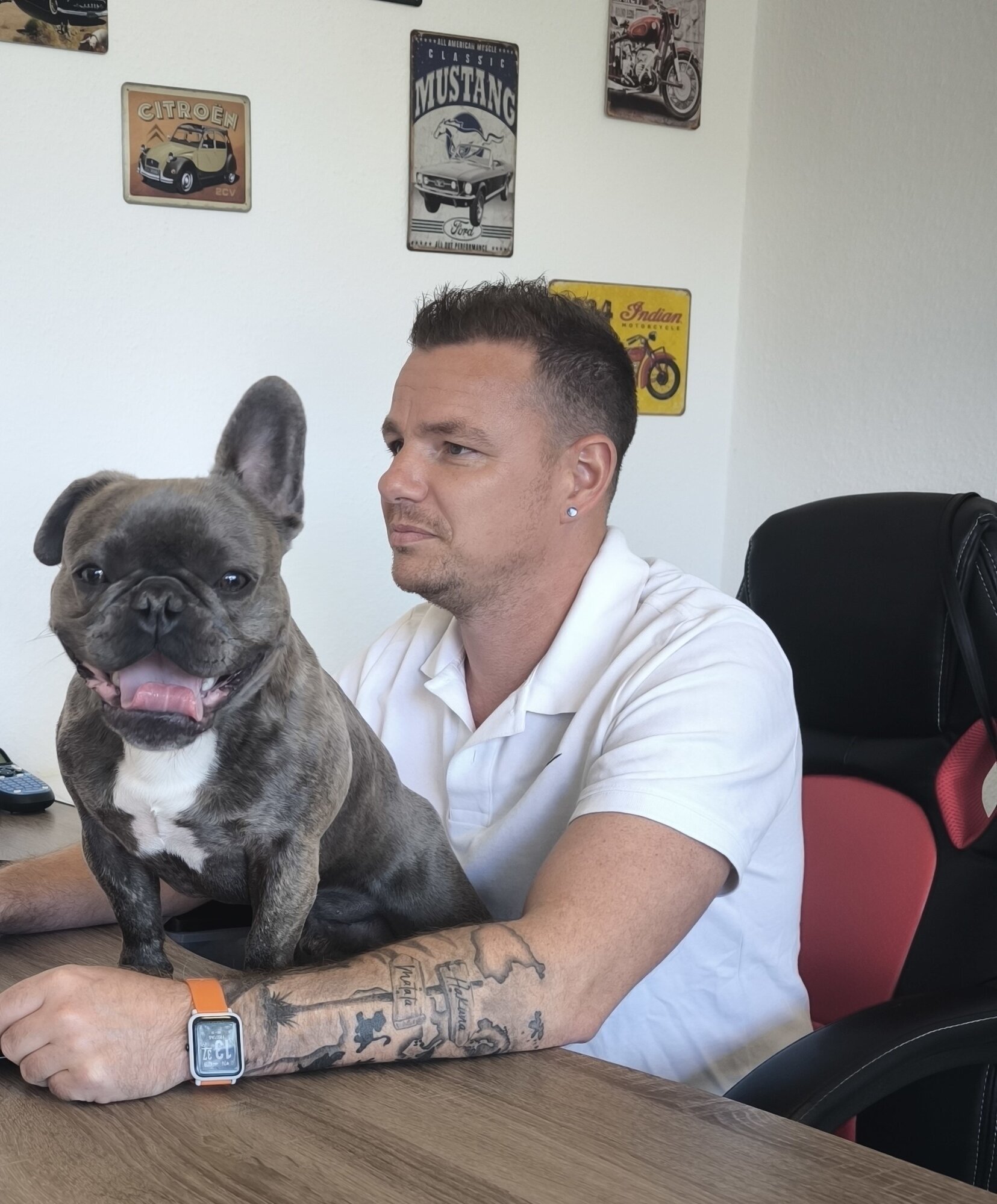 Galerie-Thumbnail