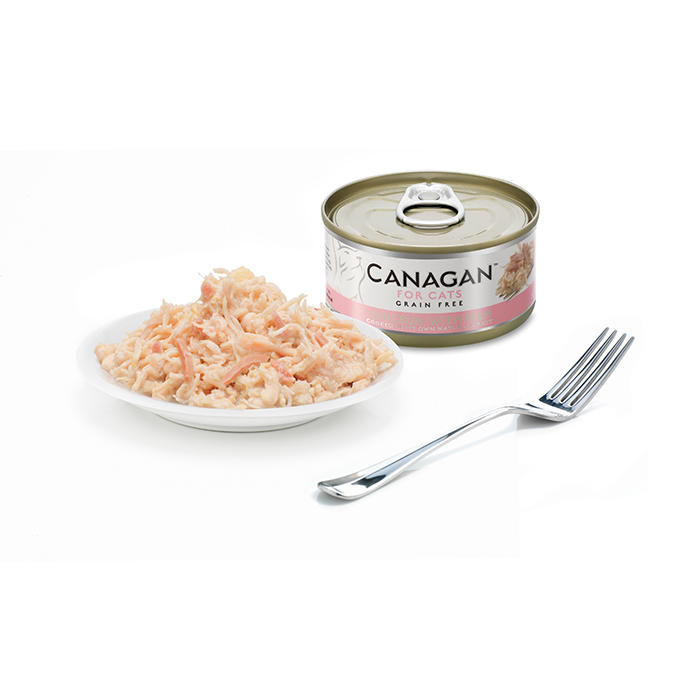 Canagan Cat Chicken with Ham 75g