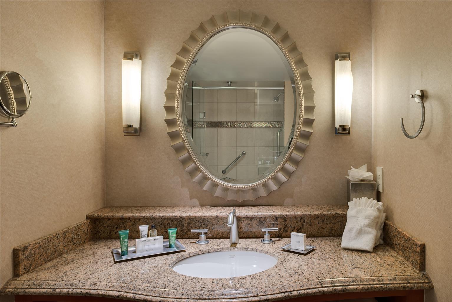 DoubleTree by Hilton Washington Dulles Airport Image