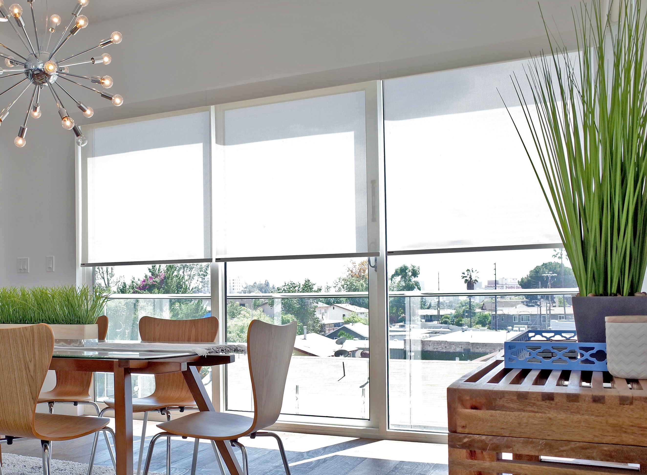 Flamingo Shades Image