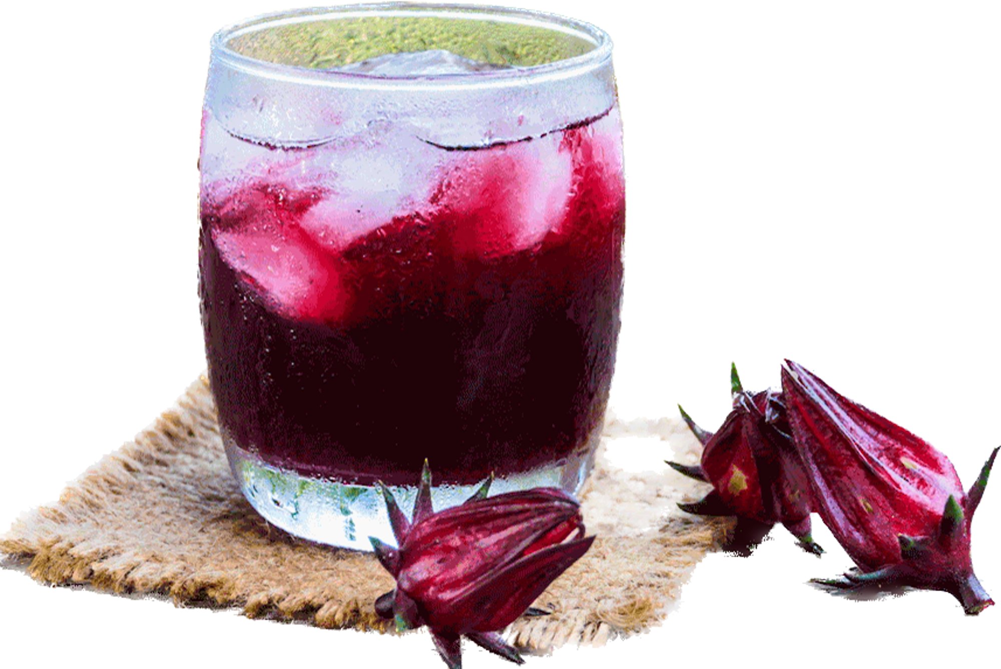Hibiscus roselle
