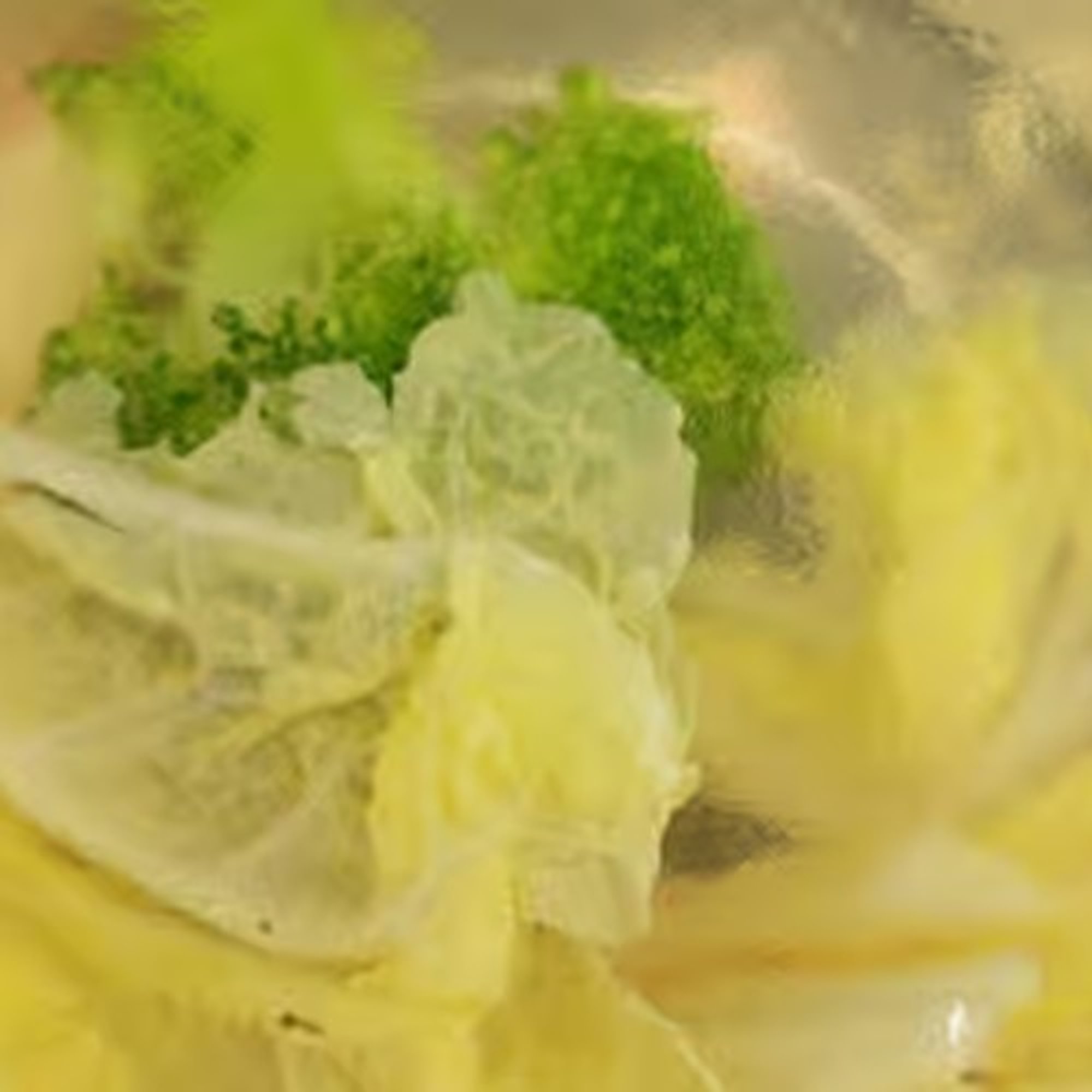 Vegetable Soup