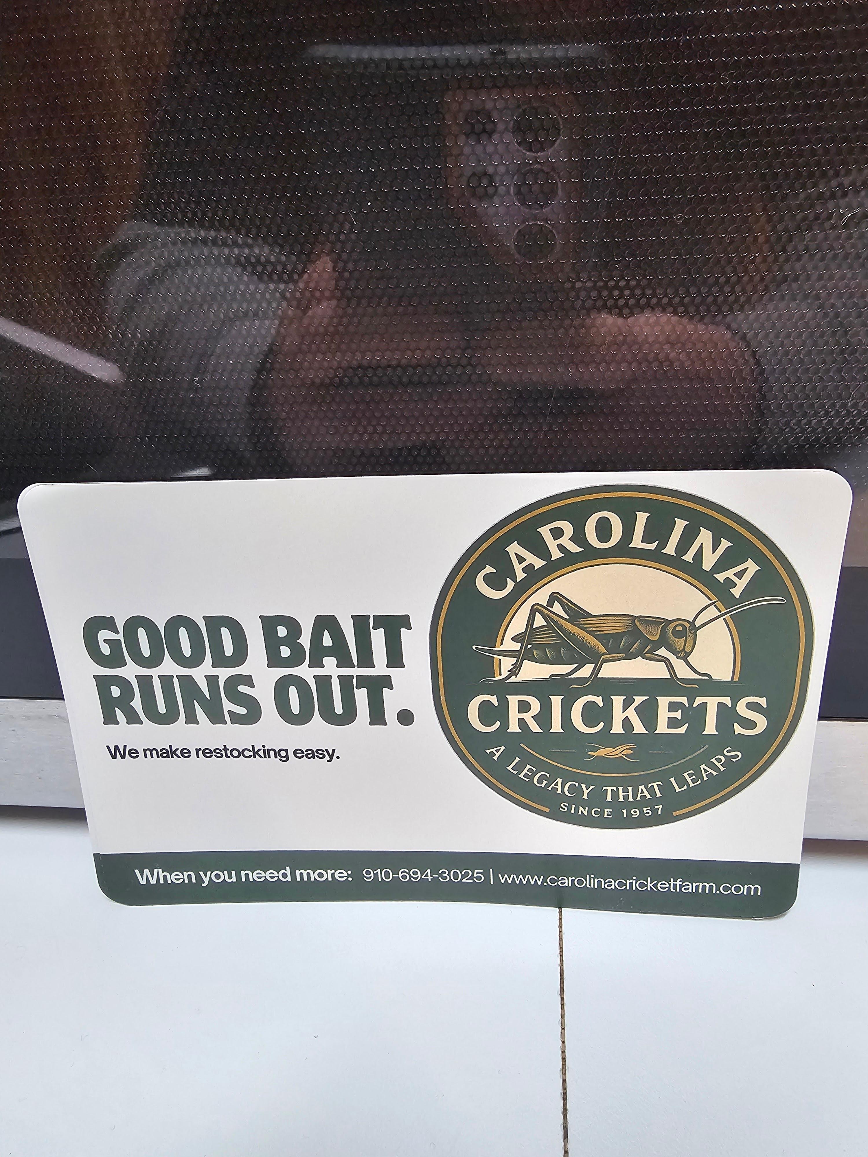 Carolina Crickets Image