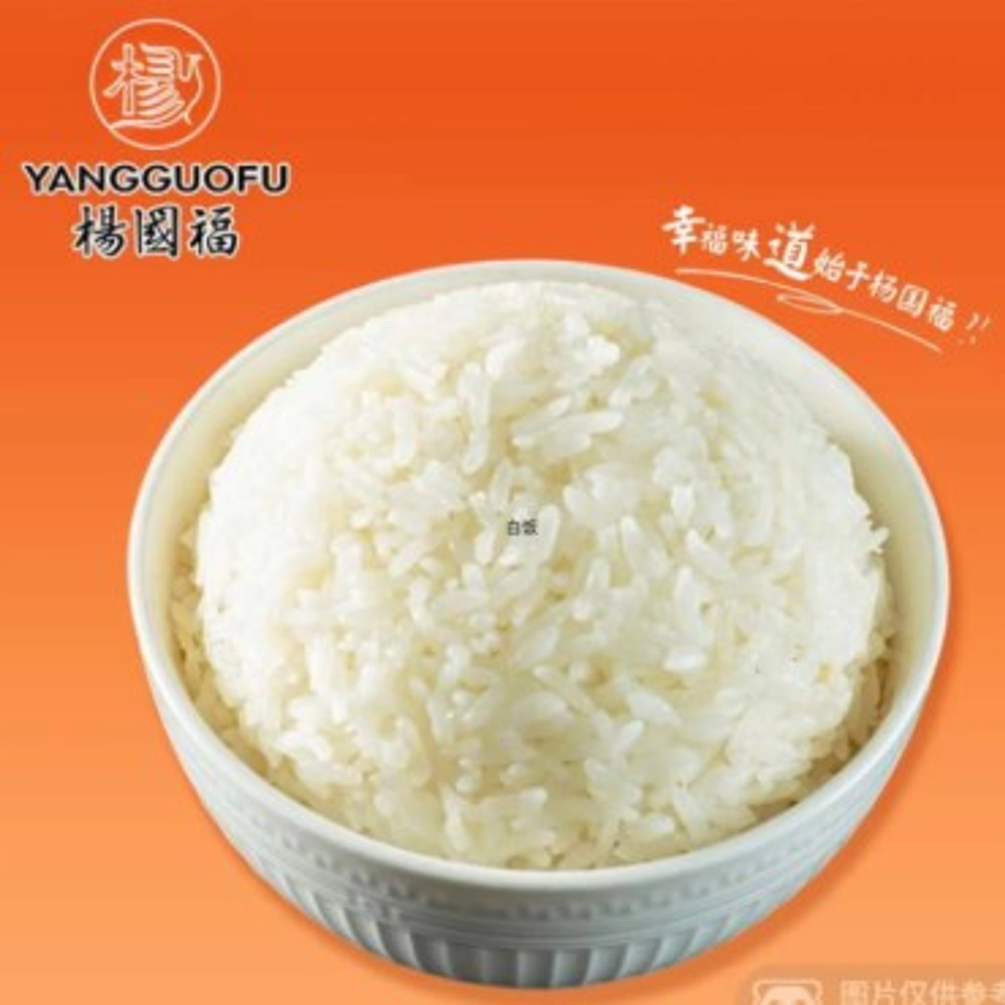 Rice - 米饭
