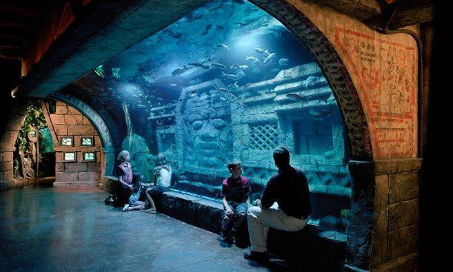 Aquarium Restaurant Photo