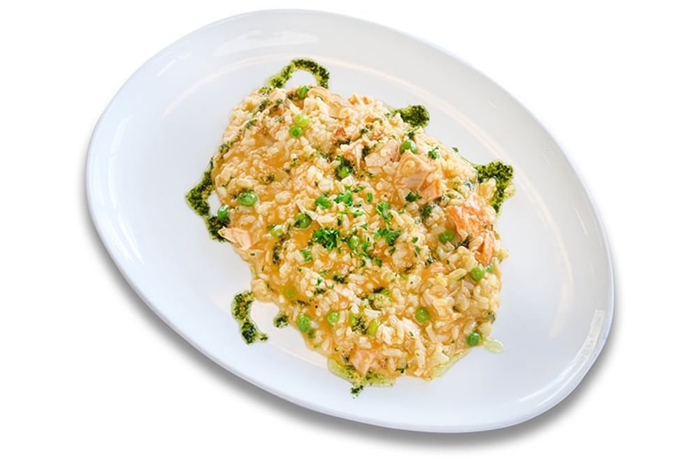 Salmon
