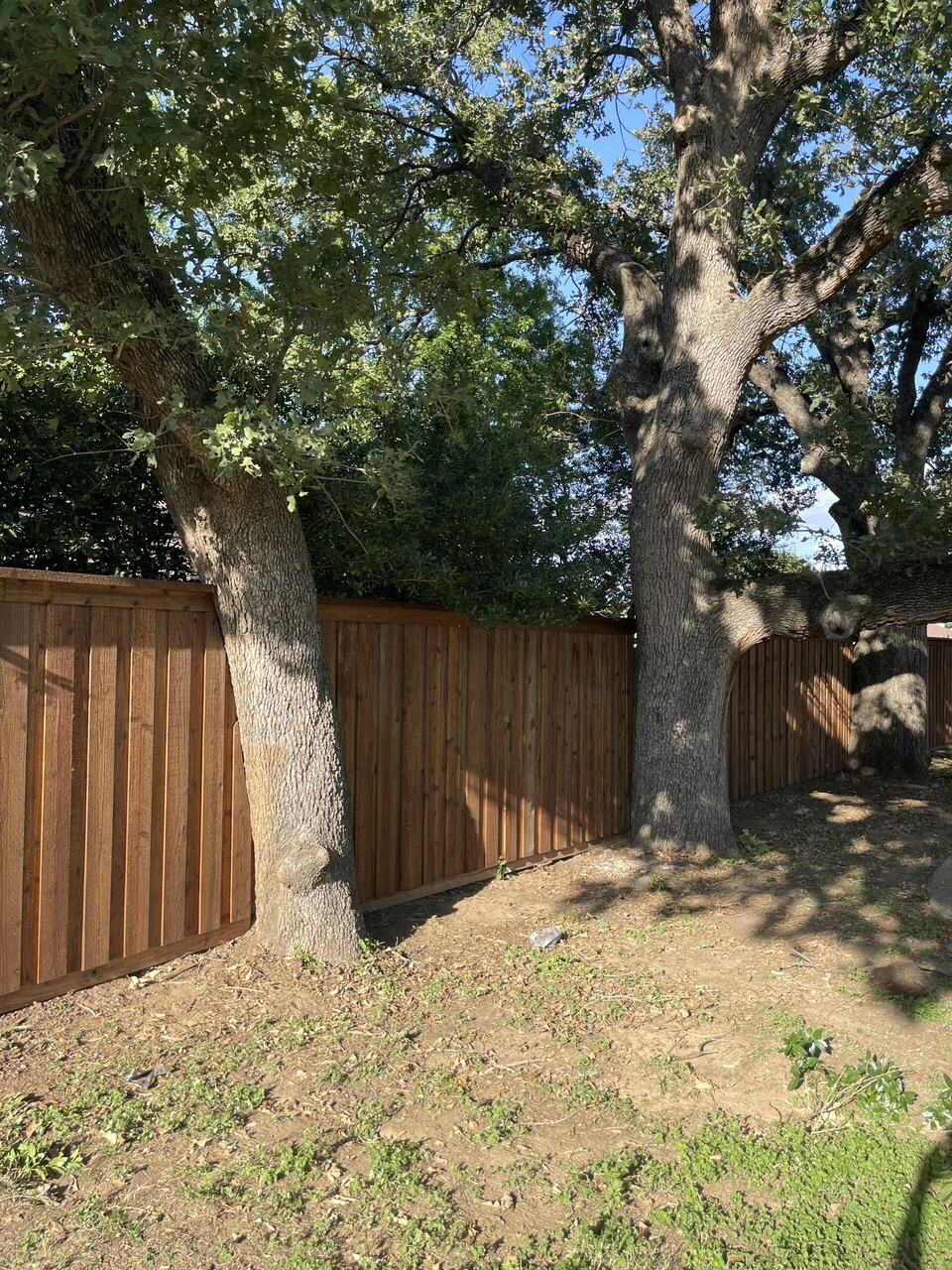 Top Rail Fence Fort Worth Image