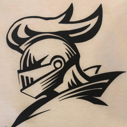 Palidin Construction Logo