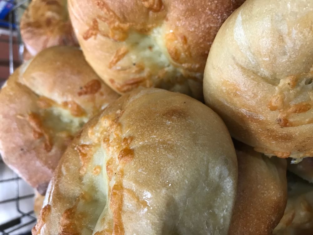 Asiago Bagel