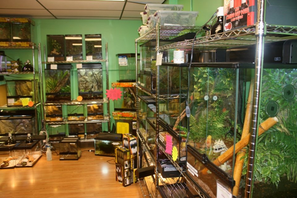 Jabberwock Reptiles Coupons near me in Winchester | 8coupons