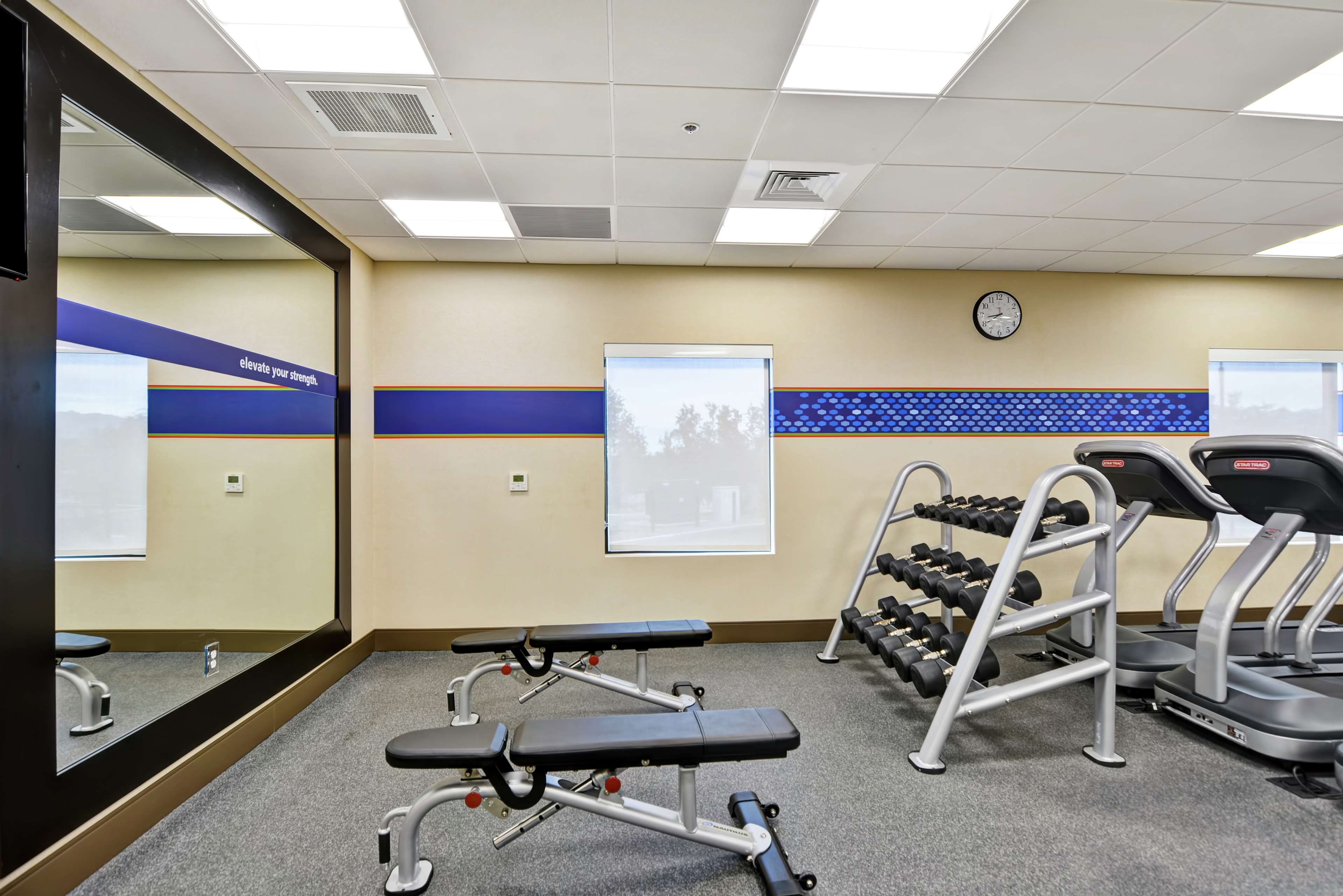 Health club  fitness center  gym