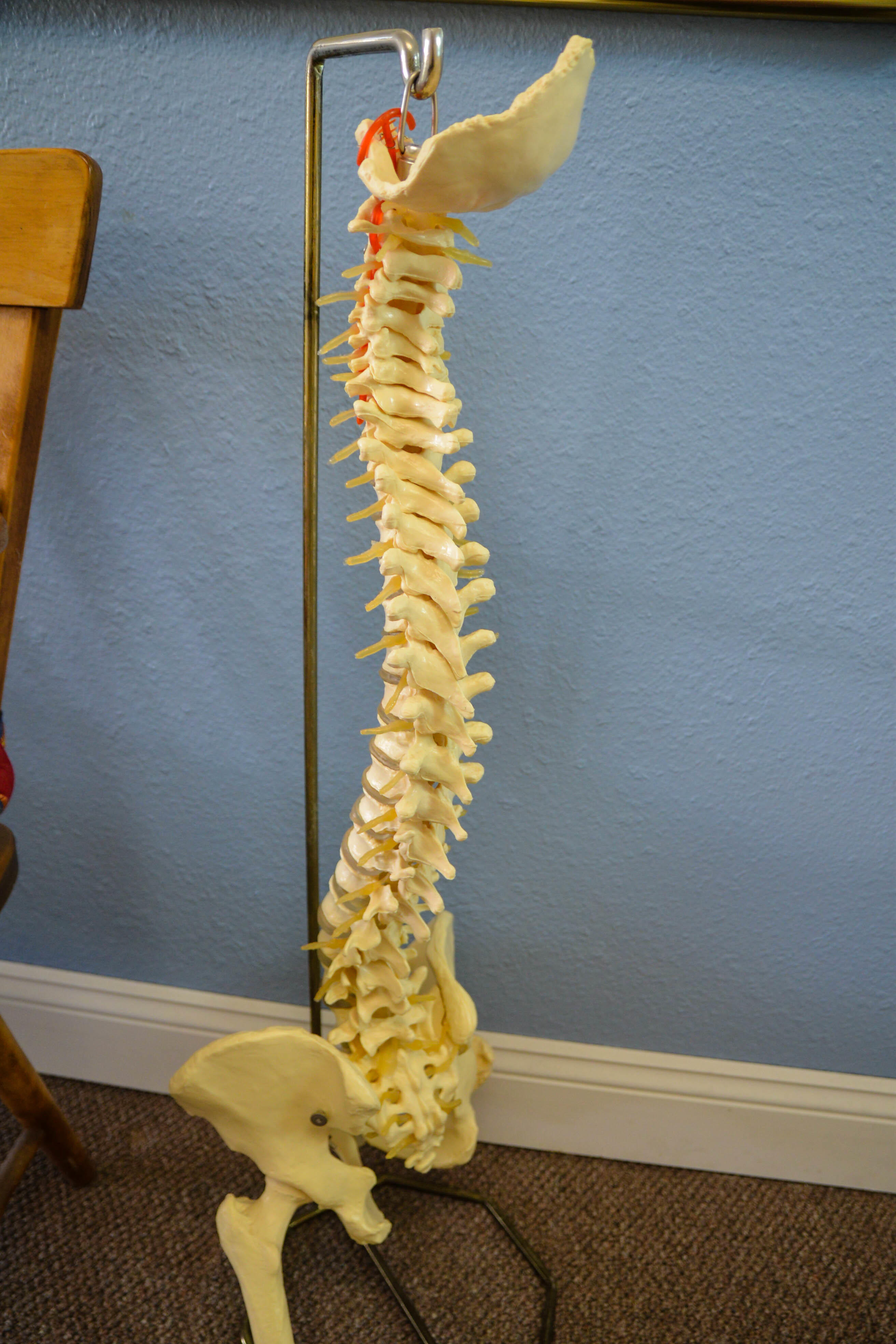 Coastal Chiropractic Photo